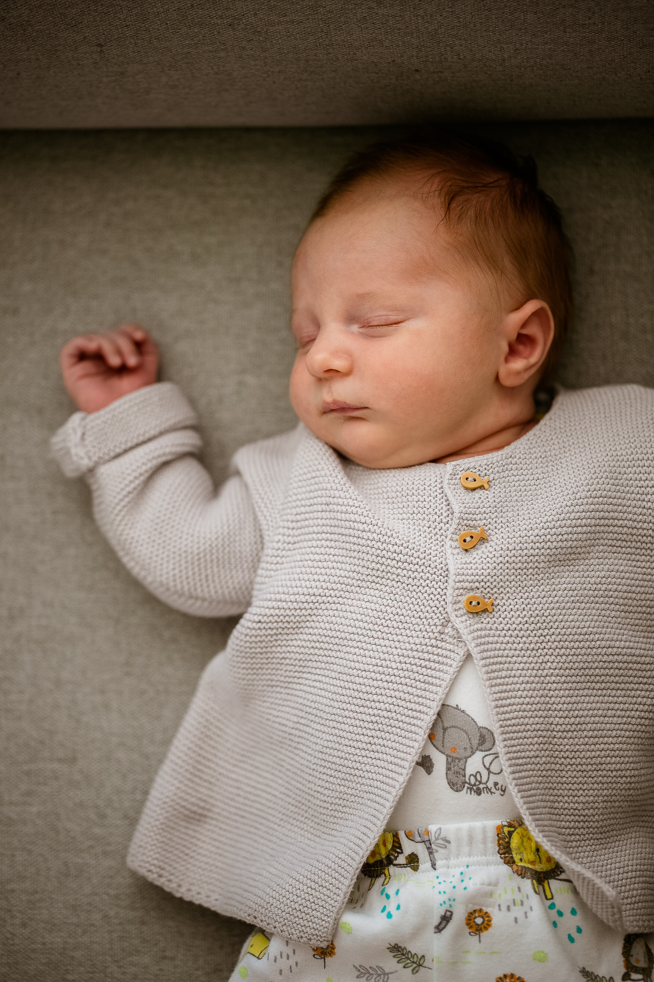 Export x3 1DX28353 Bearbeitet Familienfotoshooting 2019 Hefti